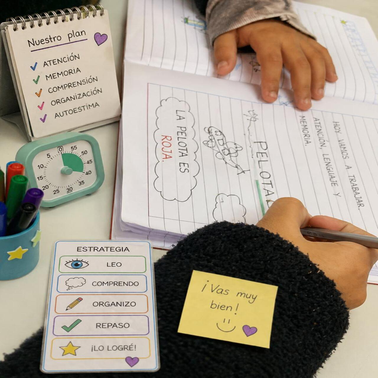 Acompañamiento escolar en procesos de inclusión